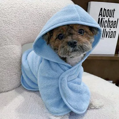 Produktbild von Ultiluxe Hunde-Bademantel – Größe L – Blau – Schnelltrocknend & Saugfähig – Mikrofaser – Verstellbar mit Kapuze - Blau