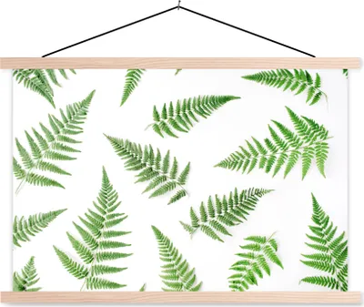 Produktbild von MuchoWow® Textilposter Tropisch - Farn - Grün 60x40 cm mit holzfarbenen Rahmen - Bilder