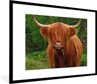 Produktbild von MuchoWow® Gerahmtes Poster Schottischer Highlander - Kuh - Gras 80x60 cm - Poster mit Schwarzem Bilderrahmen Wandposter Rahmen Foto Bilder - Schlafzimmer-Dekorationen - Fotoposter
