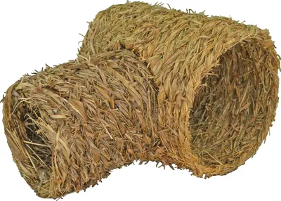 Produktbild von Elmato 10471 Gras Twin Tunnel Grasröhre Grashaus mit Löcher, 18x24x13cm