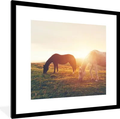 Produktbild von MuchoWow® Gerahmtes Poster Pferde - Sonne - Tiere 40x40 cm - Poster mit Schwarzem Bilderrahmen Wandposter Rahmen Foto Bilder - Poster - Plakat im Rahmen