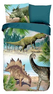 Immagine prodotto di buongiorno Renforcé biancheria da letto 2 pezzi copripiumino 140 x 220 cm federa 60 x 70 cm Dino 6602.99.01 Multi