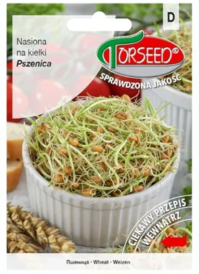 Zdjęcie produktu dla Pszenica, nasiona na kiełki 50g - Torseed