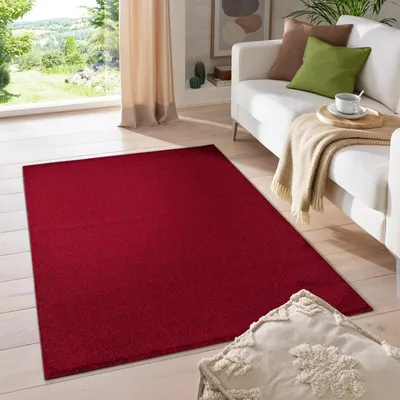 Zdjęcie produktu dla Dywan Homebyhome do salonu, krótkowłosy, jednolity wzór, łatwy w pielęgnacji i nowoczesny, do sypialni i przedpokoju, wymiary: 240 x 340 cm