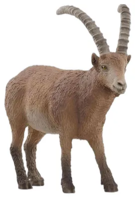 Immagine prodotto di Scarpe Schleich 14873 da Unisex