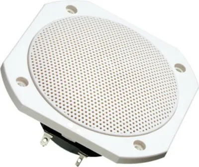 Image de Visaton 2103 Haut-parleur FRS 10 WP 8 Ohm blanc