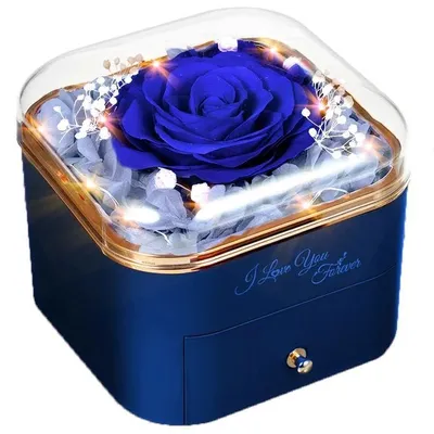 Ewige Rose mit Engelsflügel-Halskette, konserviert, Geschenk für Frauen