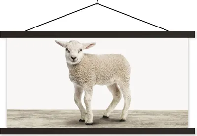 Produktbild von MuchoWow® Textilposter Lamm - Schaf - Tiere - Kinder - Mädchen - Jungen 90x45 cm mit schwarzem Rahmen - Klemmleisten