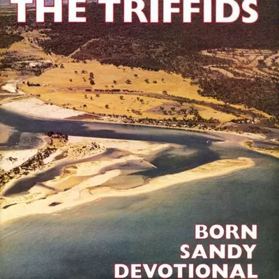 Immagine prodotto di I trifidi - Il devoto Sandy