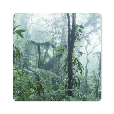 Produktbild von MuchoWow® Mauspad Mousepad Ein nebliger Regenwald in Costa Rica 20x20 cm - Mousepads - Maus Mat - Pad - Mausunterlage - Desk Mat - Bureauartikeln