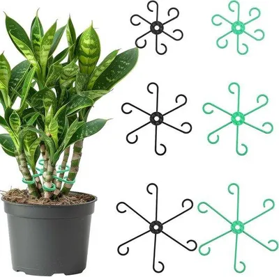 Image de Support pour tiges de plantes, 6 pièces, vert et noir