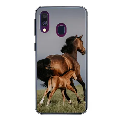 Produktbild von MuchoWow® Handyhülle Schutzhülle Hülle für Samsung Galaxy A40 Tiere - Pferde - Fohlen Silikon Softcase Handy Hülle - Handy-Tasche