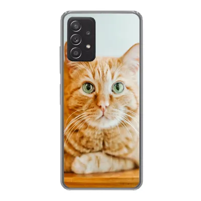 Produktbild von MuchoWow® Handyhülle Schutzhülle Hülle für Samsung galaxy a73 Katze - Holz - Schrank Silikon Softcase Handy Hülle - Handyhülle