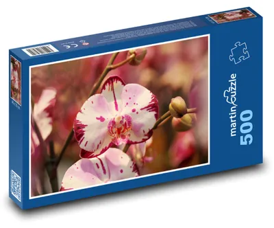 Zdjęcie produktu dla Puzzle 500 Kwitnące kwiaty orchidei - martinpuzzle