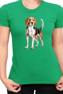 Produktbild von Damen T-Shirt Dogs Breeds Beagle Dog Breed 007, Lady S / Grün