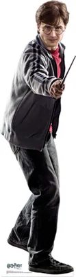 A cardboard cutout of Harry Potter holding a wand.