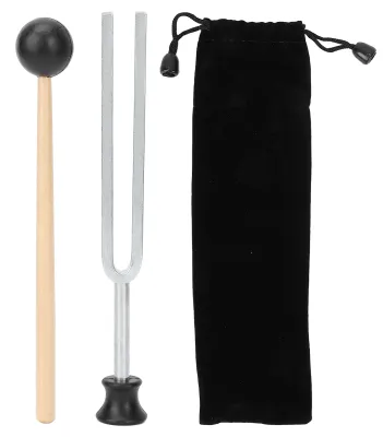 Immagine prodotto di Strumento musicale per esperimenti di vibrazione, diapason a 256 Hz, acciaio inossidabile, set con custodia