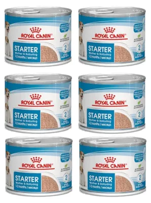Zdjęcie produktu dla Royal Canin SHN Starter Mousse szczenięta 6x195g