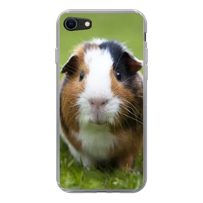 Produktbild von MuchoWow® Handyhülle Schutzhülle Hülle für iPhone 8 Zwei Meerschweinchen Silikon Softcase Handy Hülle - Schutzhaube