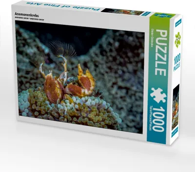 Produktbild von CALVENDO Puzzle Anemonenkrebs 1000 Teile Puzzle quer | 1000 Teile Lege-Größe 64x48cm Foto-Puzzle für glückliche Stunden
