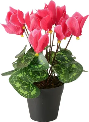 Produktbild von Boltze Home Kunstpflanze im Topf rosa H27cm