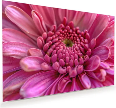 Produktbild von Glasbild 90x60cm in XXL für Wohnzimmer, Schlafzimmer Motiv Nahaufnahme Blume