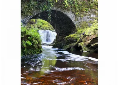 Zdjęcie produktu dla Fototapeta ścienna - Irlandia 225x250cm - tapeta flizelinowa