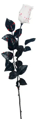 Produktbild von Weiße Rose mit Bluttropfen als Kostümzubehör & Deko