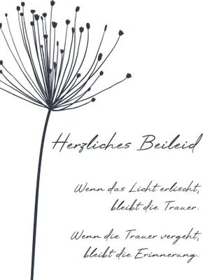 Produktbild von Trauer  Beileid  Kondolenz  Beileidskarte im Format 115x17cm mit Brief