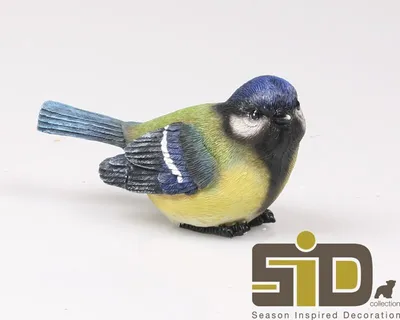 Produktbild von Massamarkt Bild Vogel Koolmeesje
