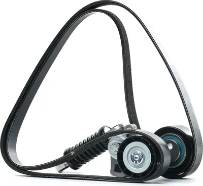 Produktbild von RIDEX 542R0292 Keilrippenriemensatz passend für PEUGEOT 206 Schrägheck (2A/C)