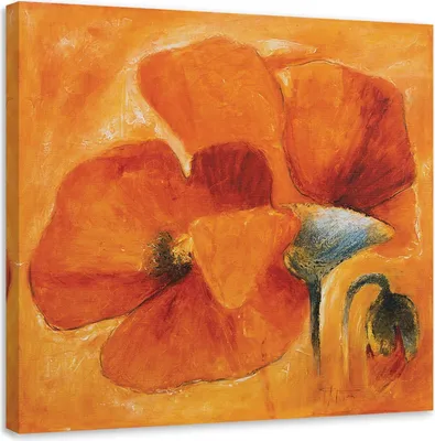 Produktbild von Leinwandbild orangene mohnblumen aus der nähe 60x60 cm Feeby orange wandbild bereit zum aufhängen