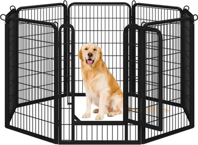 A golden retriever dog sits inside a black metal playpen.