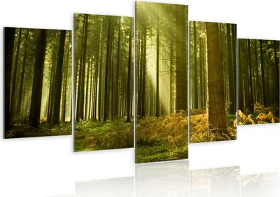 Image de Tableau acoustique Nature 200 x 100 cm Tableaux Mousse acoustique Absorbeur acoustique haute performance Isolation acoustique Toile 5 pièces Tableau mural Acoustique intérieure Isolation acoustique 030212-12