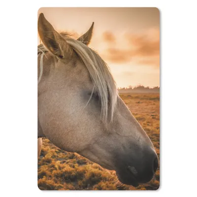 Produktbild von MuchoWow® Mauspad Mousepad Pferd - Tiere - Porträt 18x27 cm - Mousepads - Maus Mat - Pad - Mausunterlage