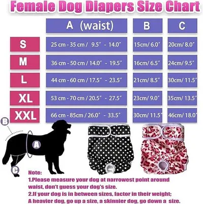 Produktbild von Famanu Hundewindeln für männliche und weibliche Hunde - Größe S, super saugfähig