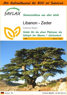 Produktbild von SAFLAX - Garden in the Bag - Libanon - Zeder - 20 Samen - Mit Anzuchtsubstrat im praktischen, selbst aufstellenden Beutel - Cedrus libani
