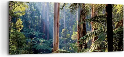 Produktbild von Bild auf Leinwand - Leinwandbild - Einteilig - Morgendämmerung Bäume Wald - 120x50cm - Wand Bild - Wanddeko - Wandbilder - Leinwanddruck - Bilder - Wanddekoration - Leinwand bilder - AB120x50-4403