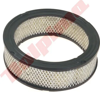 Produktbild von Luftfilter Für Briggs & Stratton ( 394018 , 392642 ) 178X140X57