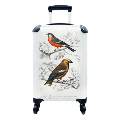 Produktbild von MuchoWow® Koffer Handgepäck Trolley Rollkoffer Kleine Reisekoffer mit 4 Rollen - Vogel - Vintage - Zweig - Cabin Size < 55x40x23 cm & 55x40x20 cm - Fotokoffer - Kabinenkoffer - Boardgepäck - Reise-Box - Reisekoffer - Reisegepäck - Koffer mit Bild - Trolley für Kinder