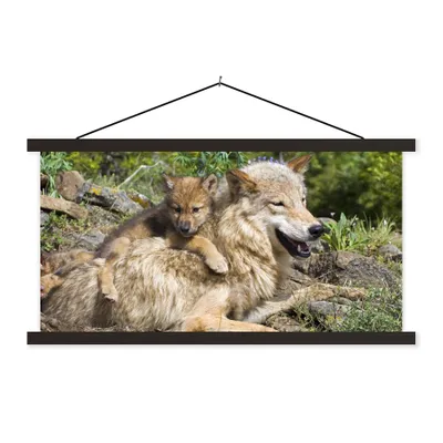 Produktbild von MuchoWow® Textilposter Wolf - Jungtier - Tier 60x30 cm mit schwarzem Rahmen - Textilien
