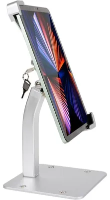 Immagine prodotto di Supporto per tablet con serratura antifurto e chiave, in alluminio resistente, per tablet da 7-11 pollici, colore argento