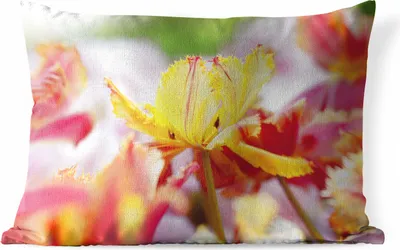 Produktbild von MuchoWow® Outdoor Kissen - Tulpe in Nahaufnahme - 50x30 cm - Wetterfest - Lounge Kissen - Sofa kissen - Wohnzimmer Dekoration