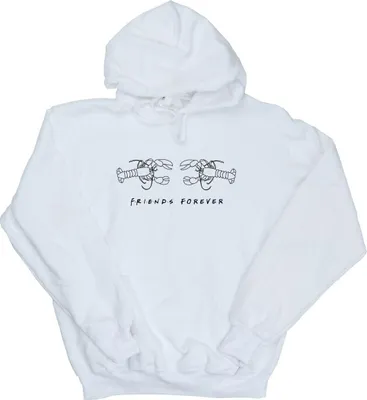 Produktbild von Friends - Kapuzenpullover für Herren BI10943 (4XL) (Weiß)