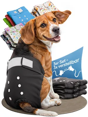 Produktbild von HUND IST KÖNIG Windeln für Hündinnen [3 Stk], S (Taille 29-40 cm), saugstarke Windeln, 3-Fach justierbar für festen Sitz bei Läufigkeit & Inkontinenz
