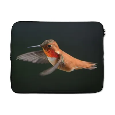 Produktbild von MuchoWow® Laptop Hülle 15 Zoll Kolibri - Federn - Schwarz Laptoptasche - Laptoptasche - Sleeve - Rundum-Schutz