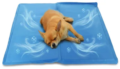 Kühlmatte für Hunde, selbstkühlend, 50x65 cm, blau