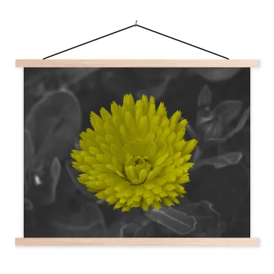 Produktbild von MuchoWow® Textilposter Blumen - Aquarell - Löwenzahn 120x90 cm mit holzfarbenen Rahmen - Magnetisch