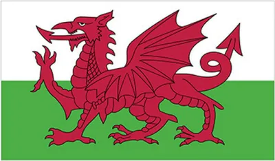Obrázek produktu pro Vlajka s potiskem Wales
