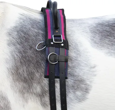 Produktbild von HKM Longiergurt -Canvas- mit Doppelgriff, Farbe:navy/passion pink, Größe:Pony